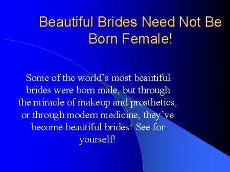 Boys will be Brides [1/50]